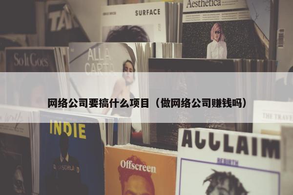 网络公司要搞什么项目（做网络公司赚钱吗）-第1张图片-冷动云