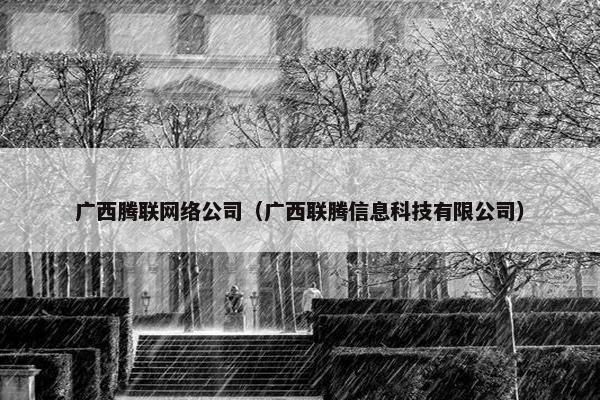 广西腾联网络公司（广西联腾信息科技有限公司）-第1张图片-冷动云