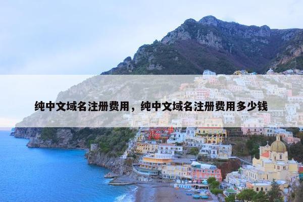 纯中文域名注册费用，纯中文域名注册费用多少钱-第1张图片-冷动云