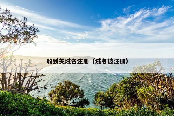 收到关域名注册（域名被注册）-第1张图片-冷动云