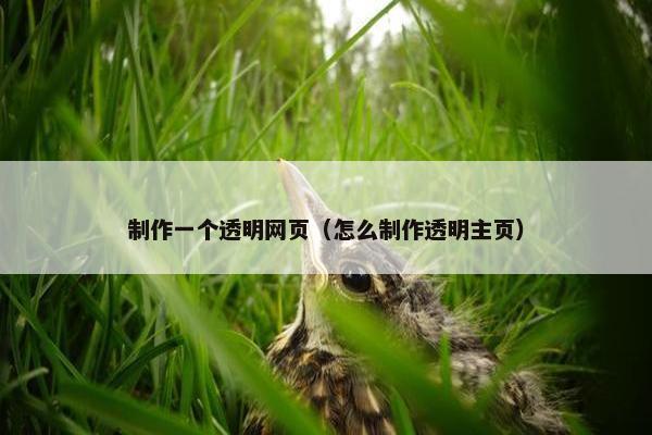 制作一个透明网页（怎么制作透明主页）-第1张图片-冷动云