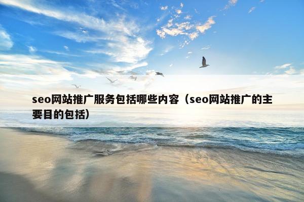 seo网站推广服务包括哪些内容（seo网站推广的主要目的包括）-第1张图片-冷动云