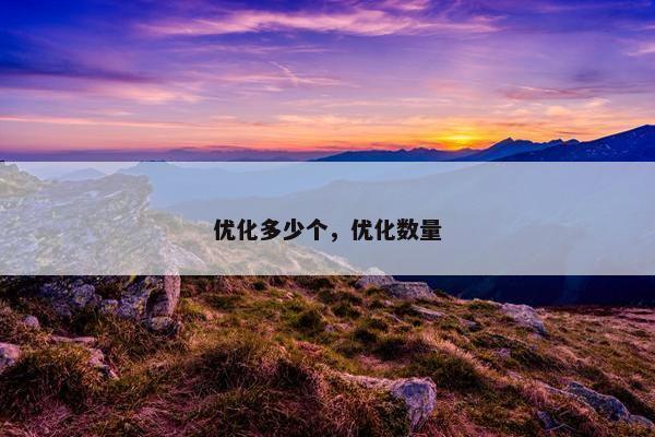 优化多少个，优化数量-第1张图片-冷动云