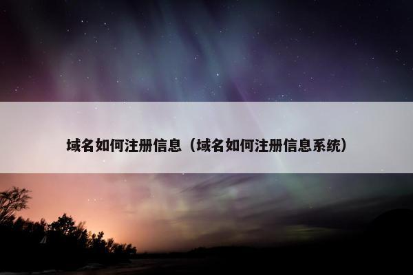 域名如何注册信息（域名如何注册信息系统）-第1张图片-冷动云