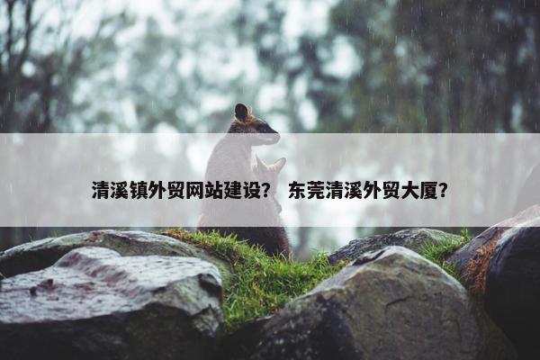 清溪镇外贸网站建设？ 东莞清溪外贸大厦？-第1张图片-冷动云