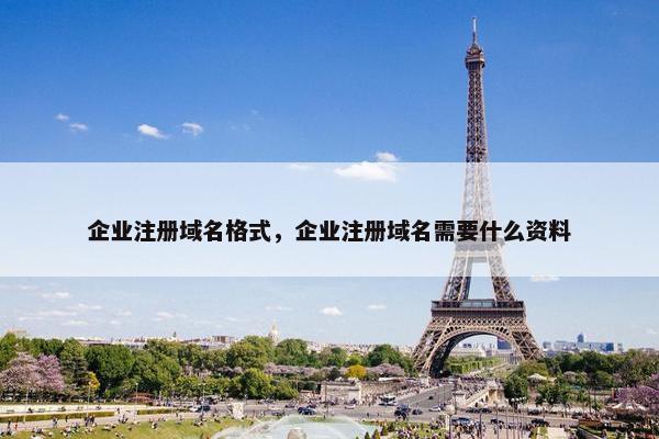 企业注册域名格式，企业注册域名需要什么资料-第1张图片-冷动云
