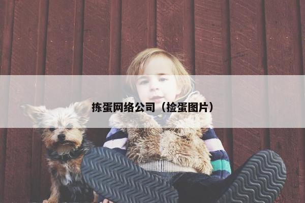 拣蛋网络公司（捡蛋图片）-第1张图片-冷动云