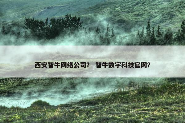 西安智牛网络公司？ 智牛数字科技官网？-第1张图片-冷动云