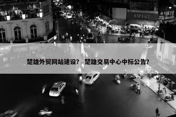 楚雄外贸网站建设？ 楚雄交易中心中标公告？-第1张图片-冷动云