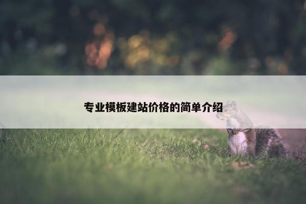 专业模板建站价格的简单介绍-第1张图片-冷动云