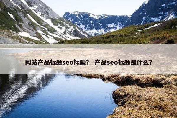 网站产品标题seo标题？ 产品seo标题是什么？-第1张图片-冷动云