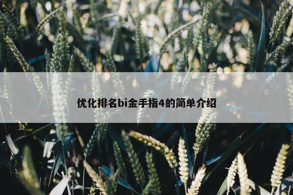 优化排名bi金手指4的简单介绍-第1张图片-冷动云