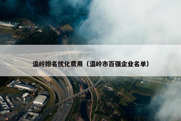 温岭排名优化费用（温岭市百强企业名单）-第1张图片-冷动云
