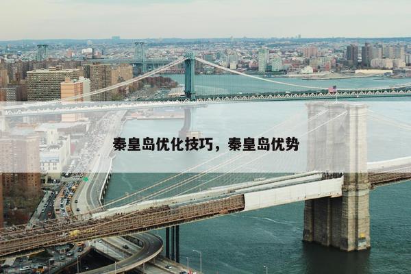 秦皇岛优化技巧，秦皇岛优势-第1张图片-冷动云