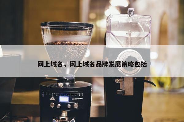 网上域名，网上域名品牌发展策略包括-第1张图片-冷动云