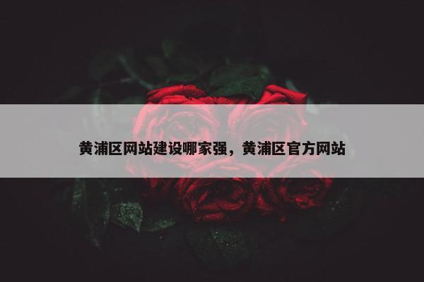 黄浦区网站建设哪家强，黄浦区官方网站-第1张图片-冷动云