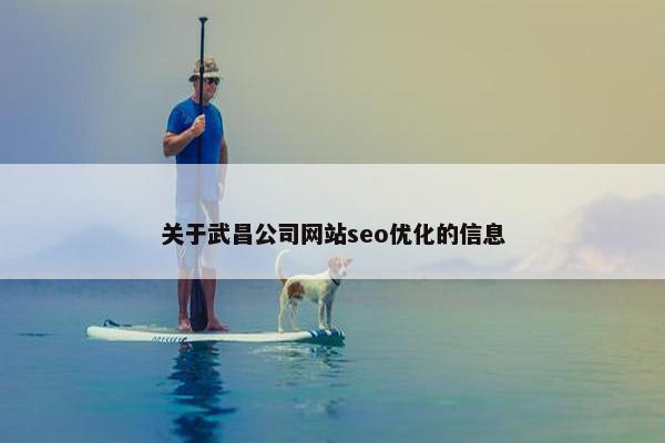 关于武昌公司网站seo优化的信息-第1张图片-冷动云