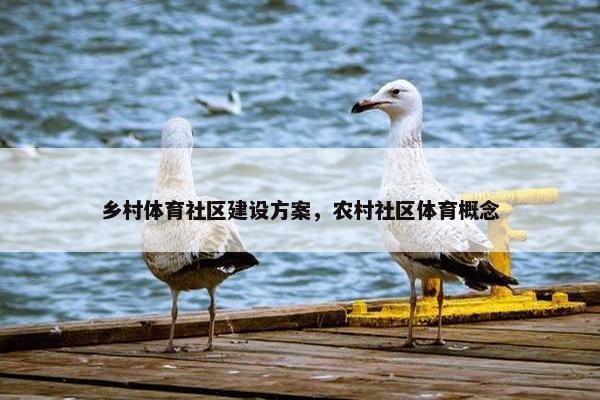 乡村体育社区建设方案，农村社区体育概念-第1张图片-冷动云