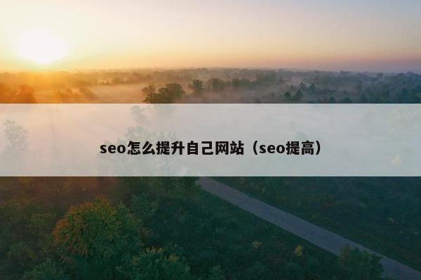 seo怎么提升自己网站（seo提高）-第1张图片-冷动云