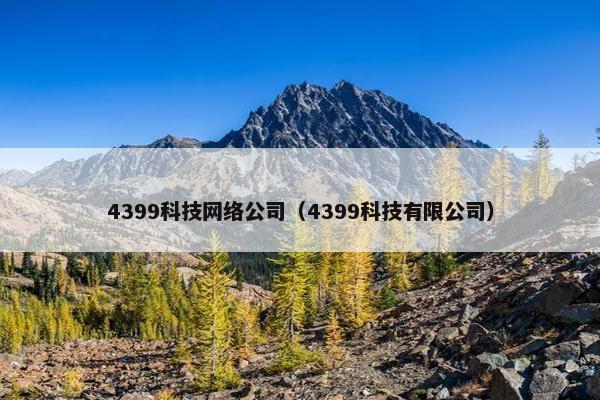 4399科技网络公司（4399科技有限公司）-第1张图片-冷动云