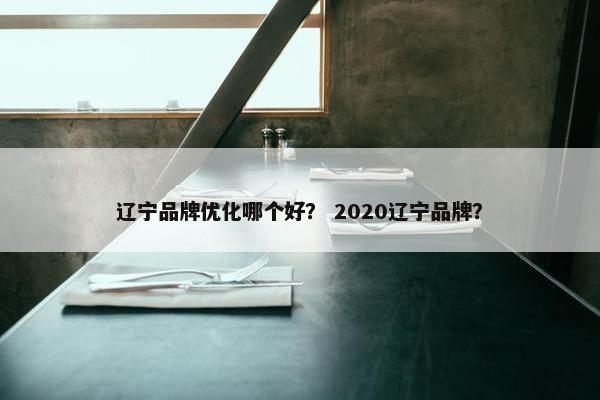 辽宁品牌优化哪个好？ 2020辽宁品牌？-第1张图片-冷动云