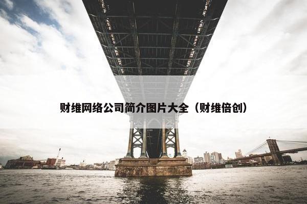 财维网络公司简介图片大全（财维倍创）-第1张图片-冷动云