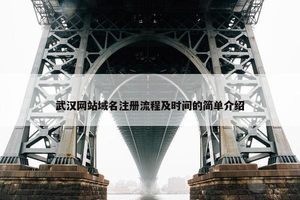 武汉网站域名注册流程及时间的简单介绍-第1张图片-冷动云