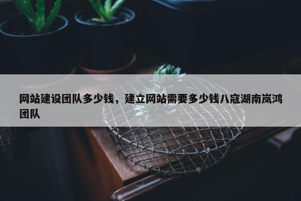网站建设团队多少钱，建立网站需要多少钱八寇湖南岚鸿团队-第1张图片-冷动云