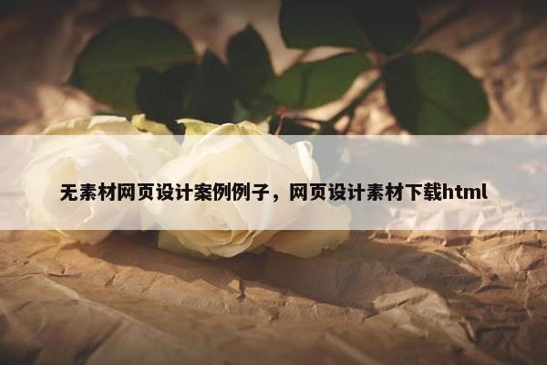 无素材网页设计案例例子，网页设计素材下载html-第1张图片-冷动云