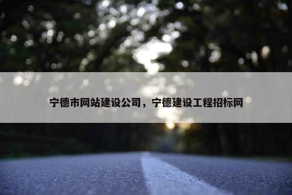 宁德市网站建设公司，宁德建设工程招标网-第1张图片-冷动云