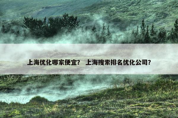 上海优化哪家便宜？ 上海搜索排名优化公司？-第1张图片-冷动云