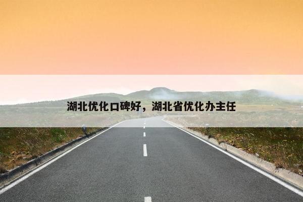湖北优化口碑好，湖北省优化办主任-第1张图片-冷动云