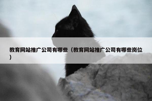 教育网站推广公司有哪些（教育网站推广公司有哪些岗位）-第1张图片-冷动云