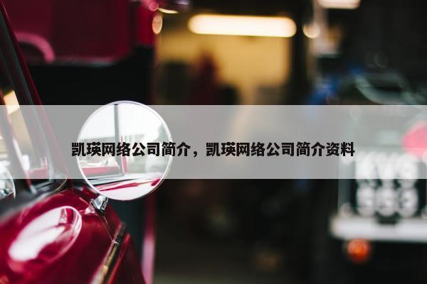 凯瑛网络公司简介，凯瑛网络公司简介资料-第1张图片-冷动云