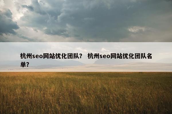 杭州seo网站优化团队？ 杭州seo网站优化团队名单？-第1张图片-冷动云