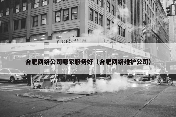 合肥网络公司哪家服务好（合肥网络维护公司）-第1张图片-冷动云