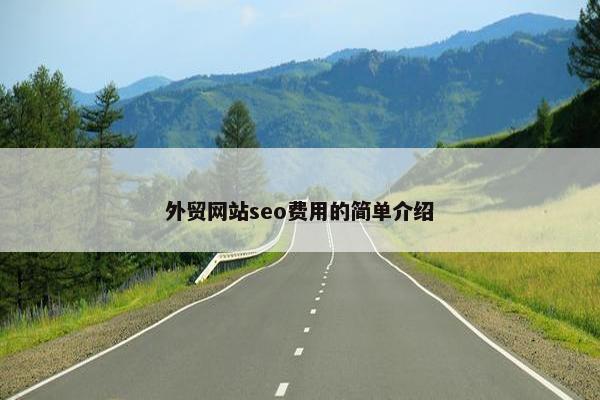 外贸网站seo费用的简单介绍-第1张图片-冷动云