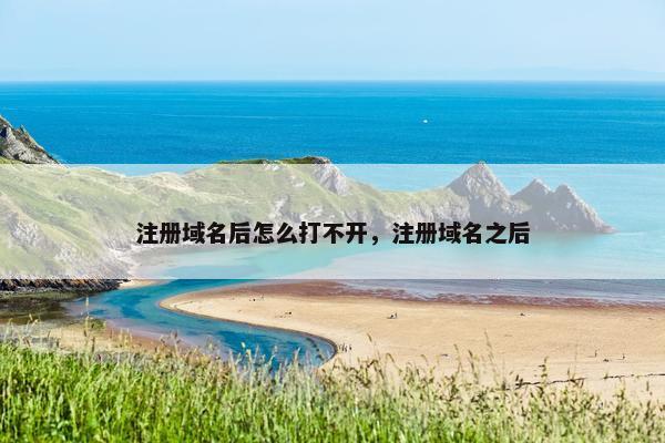 注册域名后怎么打不开，注册域名之后-第1张图片-冷动云