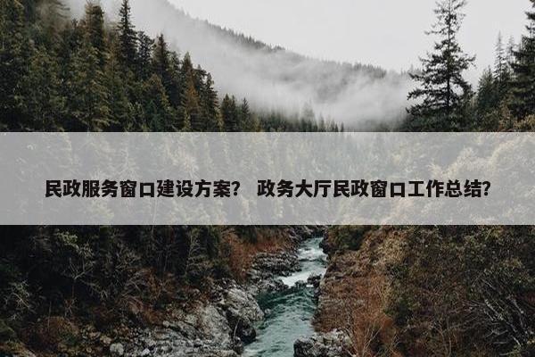 民政服务窗口建设方案？ 政务大厅民政窗口工作总结？-第1张图片-冷动云