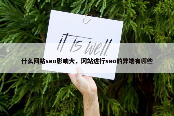 什么网站seo影响大，网站进行seo的弊端有哪些-第1张图片-冷动云