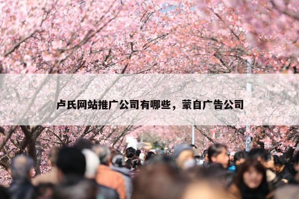 卢氏网站推广公司有哪些，蒙自广告公司-第1张图片-冷动云