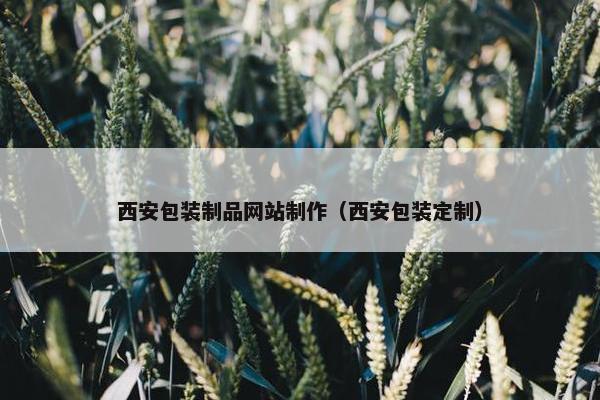 西安包装制品网站制作（西安包装定制）-第1张图片-冷动云