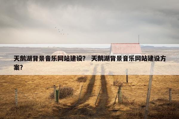 天鹅湖背景音乐网站建设？ 天鹅湖背景音乐网站建设方案？-第1张图片-冷动云