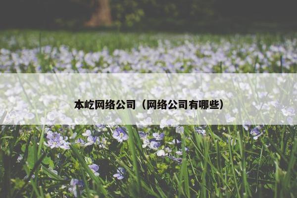 本屹网络公司（网络公司有哪些）-第1张图片-冷动云