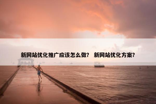 新网站优化推广应该怎么做？ 新网站优化方案？-第1张图片-冷动云