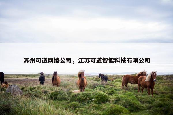 苏州可道网络公司，江苏可道智能科技有限公司-第1张图片-冷动云