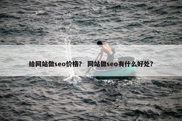 给网站做seo价格？ 网站做seo有什么好处？-第1张图片-冷动云