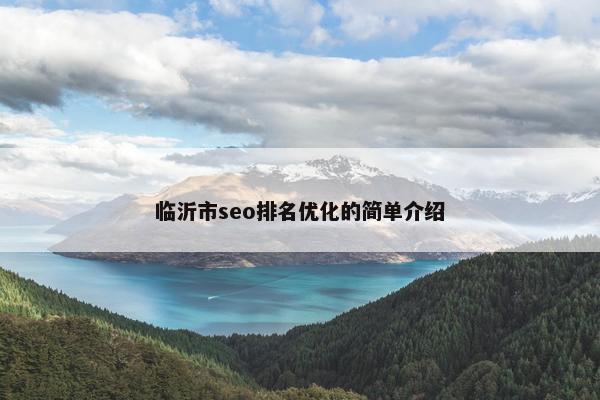 临沂市seo排名优化的简单介绍-第1张图片-冷动云