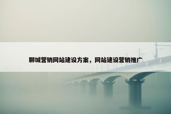 聊城营销网站建设方案，网站建设营销推广-第1张图片-冷动云