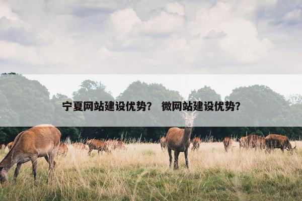 宁夏网站建设优势？ 微网站建设优势？-第1张图片-冷动云